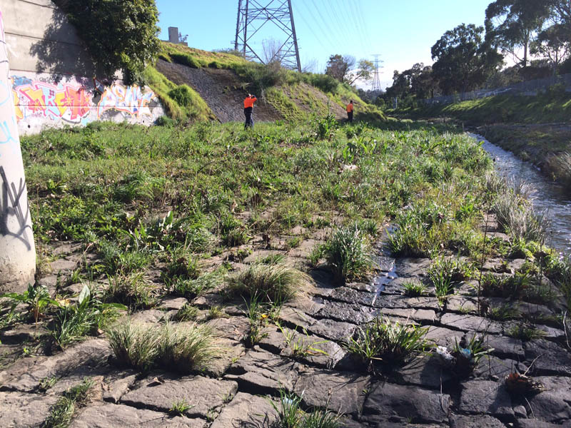 Green grassy hill with people