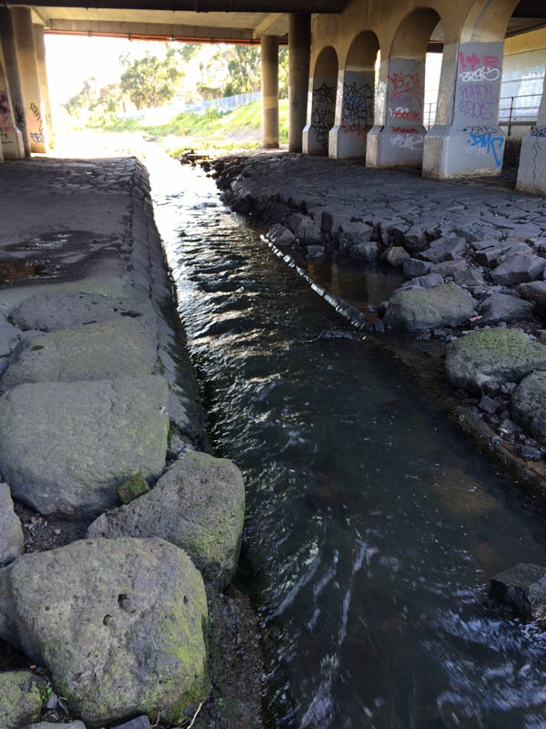 Underpass stream and rocks