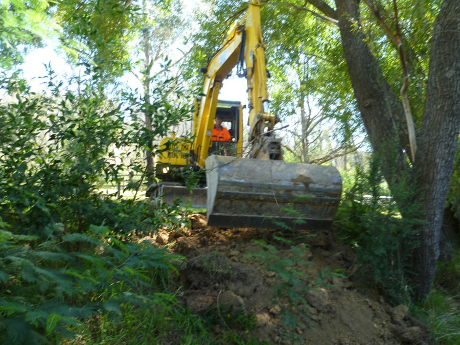 Excavator digging in trees