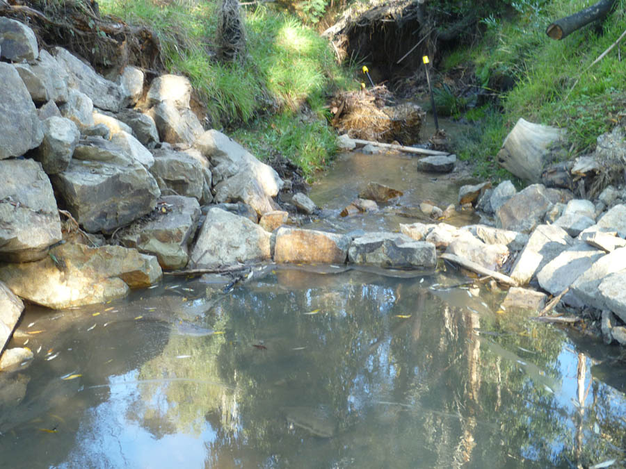 Rocky stream bed with water