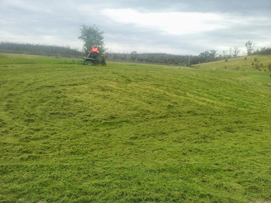 Tractor mowing green field.