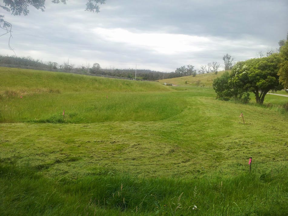 Green rolling grassy hill.