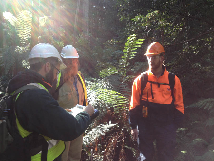 Forestry workers in conversation