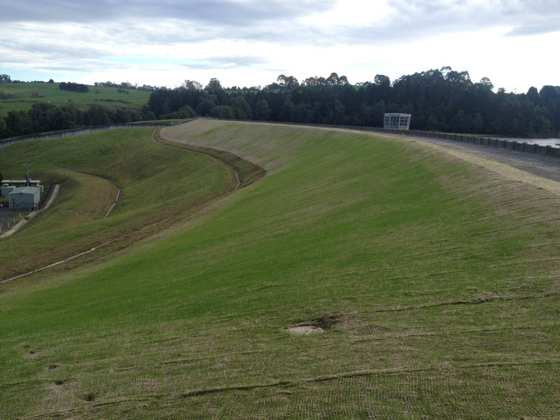 Grassy dam embankment structure