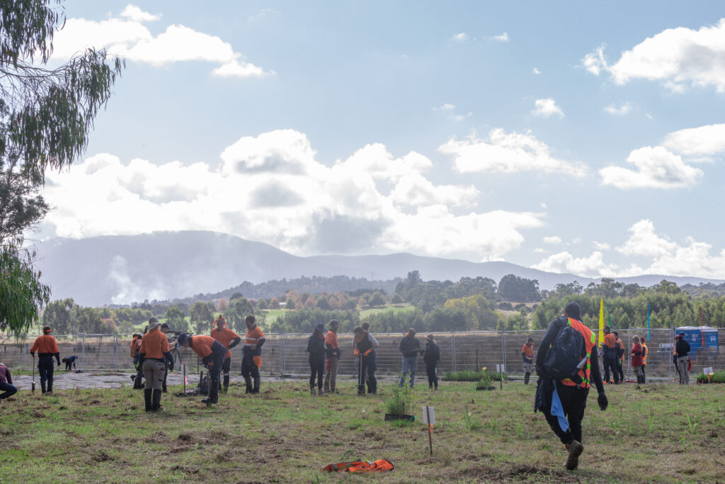 Archaeology field school participants