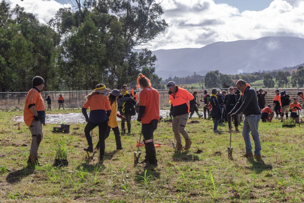 Volunteers planting trees outdoors