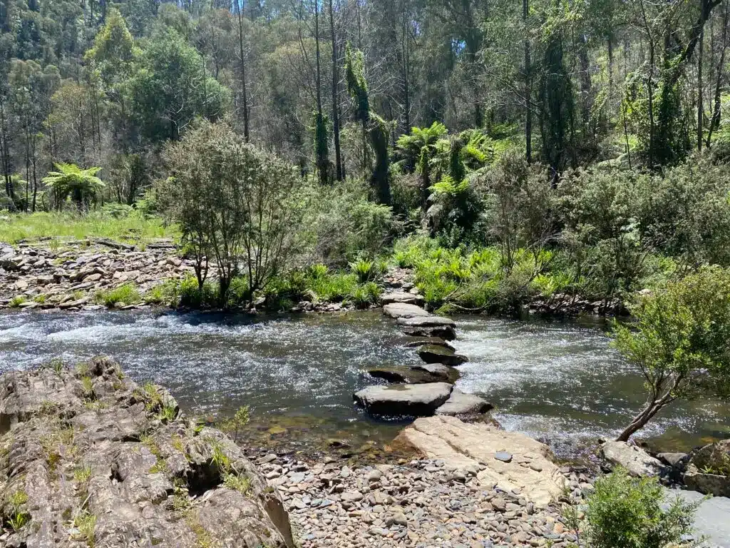 Stone path across a river