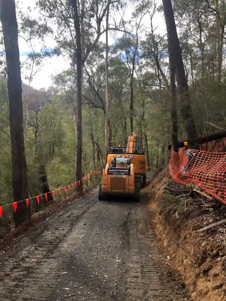 Construction vehicle on forest path