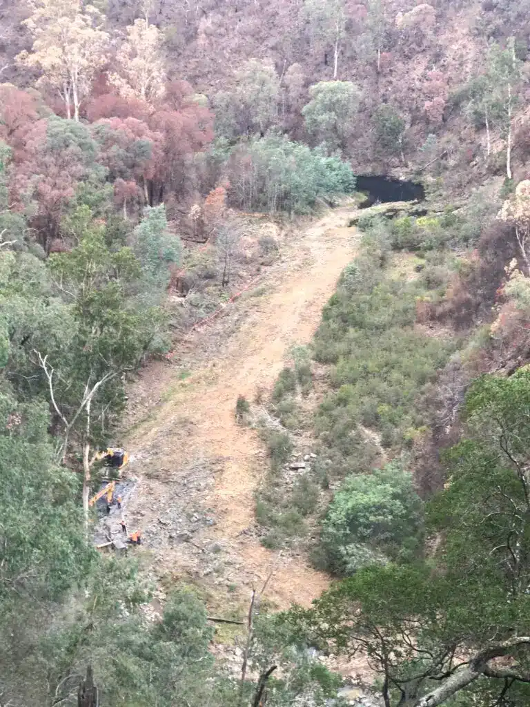 Steep forested hillside path