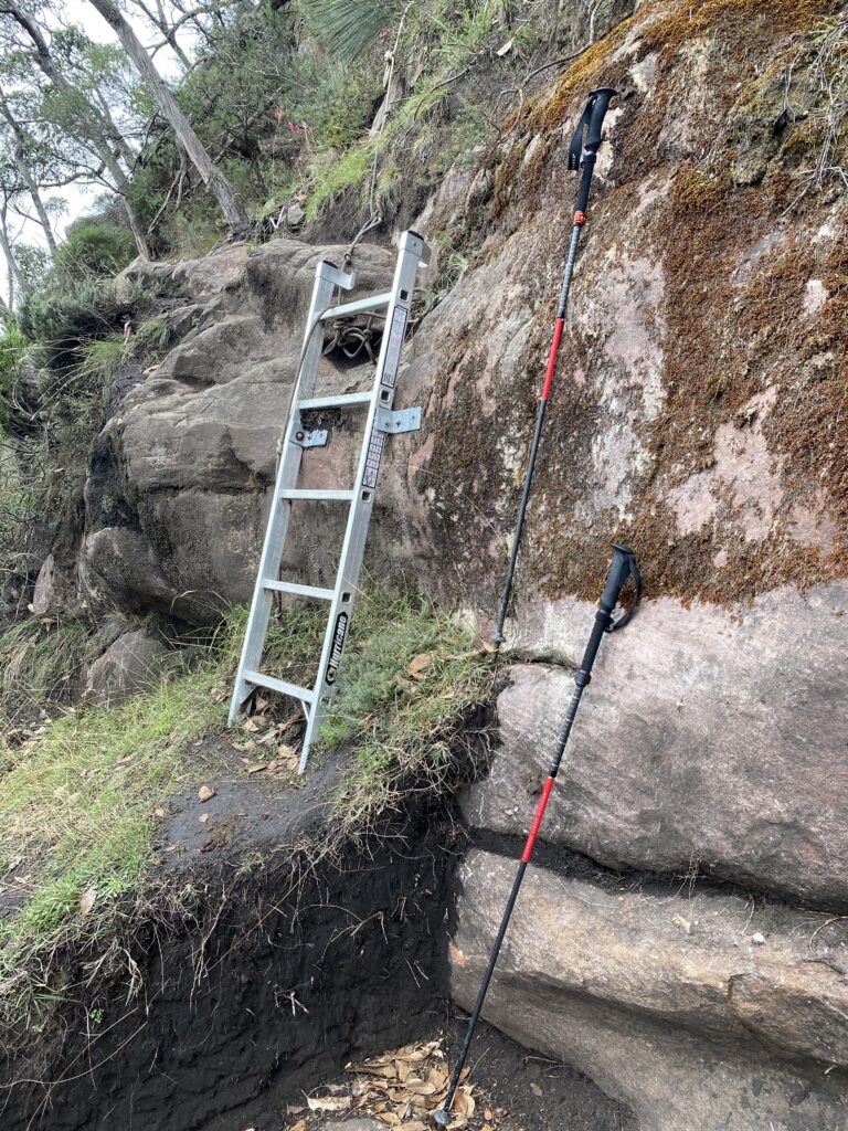 Ladder and hiking poles on trail