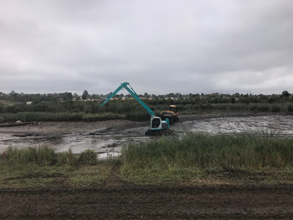 Contaminated Soil Remediation